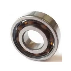 6204 ETN9 SKF Csapágy