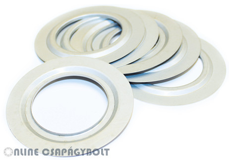 6207 JV NILOS  Csapágy