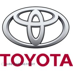 96721-31110 TOYOTA O-gyűrű
