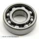 AB 44052.S01 SNR Csapágy