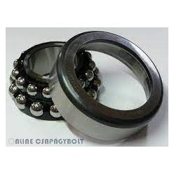 F-237541.02 SKL-H79 FAG Csapágy