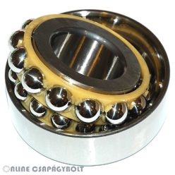 F-237542.02.SKL-H79 FAG Csapágy