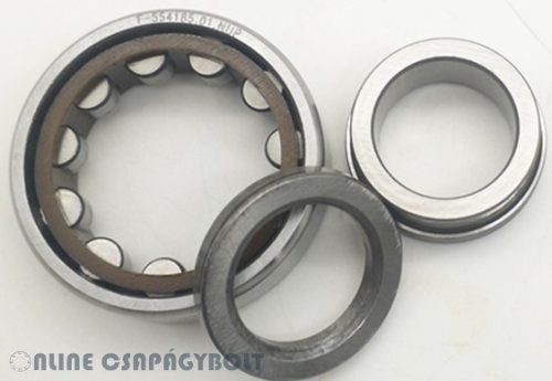F-554185.01.NUP INA Csapágy