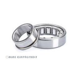 NJ 2205-E-XL-TVP2-C3 FAG Csapágy