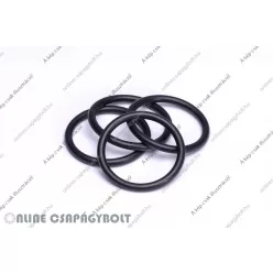 NUP 305-E-TVP2-C3 FAG Csapágy