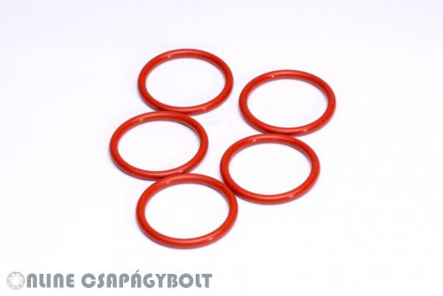 O 92X4 FKM