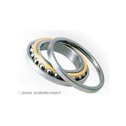 Q 305 P63 DKF Csapágy