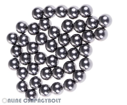 RB 5.5 G100 AISI420C  Csapágy