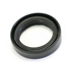 S 33X46X10.5 FS2 DUO  Szimering