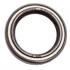 S 70X107/110X11/17.4 RWDR-KOMBI COR Szimering