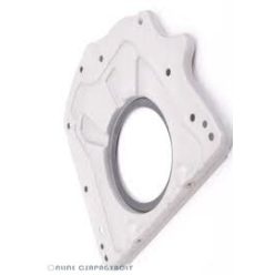 S 96X210/236X19 CS PTFE COR Szimering